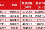 高毅私募最新持有的股票,高毅私募最新持有的股票大揭秘✨